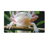 KYSANOL Axolotl,Mouse Pad Large Desk Pad Computer Keyboard Mouse Mat With Non Slip Rubber Base 40 x 70 cm