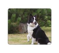 KYSANOL Bad Dog Border Collie, Mouse Pad, Non-Slip Rubber Base Mouse Pad,Waterproof Mouse Mat