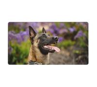 KYSANOL Belgian Malinois Pets Dogs Belgian Malinois,Mouse Pad Large Desk Pad Computer Keyboard Mouse Mat With Non Slip Rubber Base 40 x 70 cm