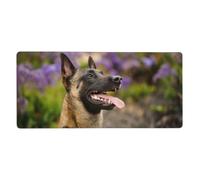 KYSANOL Belgian Malinois Pets Dogs Belgian Malinois,Mouse Pad Large Desk Pad Computer Keyboard Mouse Mat With Non Slip Rubber Base 40 x 90 cm