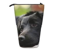 KYSANOL Black Labrador Chamomile Black Retriever Dogs,Telescopic Pencil Case,Stand Pencil Holder with Zipper Pencil Pouch Pen Bag