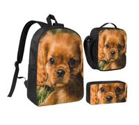 KYSANOL Cavalier King Charles Spaniel Brown Curly Dogs,Student Backpack,Lunch Bag,Pencil Case 3 Piece Set