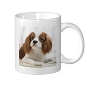 KYSANOL Cavalier King Charles Spaniel Brown Spaniel, Ceramic Cup Ceramics Mug Tea Cup Coffee Mugs 330 ml