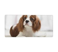 KYSANOL Cavalier King Charles Spaniel Brown Spaniel,Mouse Pad Large Desk Pad Computer Keyboard Mouse Mat With Non Slip Rubber Base 40 x 90 cm