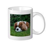 KYSANOL Cavalier King Charles Spaniel Brownish White, Ceramic Cup Ceramics Mug Tea Cup Coffee Mugs 330 ml