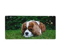 KYSANOL Cavalier King Charles Spaniel Brownish White,Mouse Pad Large Desk Pad Computer Keyboard Mouse Mat With Non Slip Rubber Base 40 x 90 cm