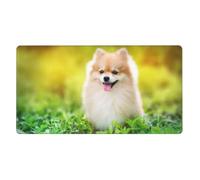 KYSANOL Cute Puppy Dog In Spring Park,Mouse Pad Large Desk Pad Computer Keyboard Mouse Mat With Non Slip Rubber Base 40 x 70 cm