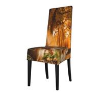 KYSANOL Cute Squirrel Eating Nuts,Chair Covers Seat Protector Stretch Dining Chair Slipcover Seat Cover for Chairs