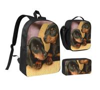 KYSANOL Dachshund Puppies Pets Dogs Small Dachshund,Student Backpack,Lunch Bag,Pencil Case 3 Piece Set