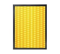 KYSANOL Fresh Ripe Corn Cobs Pattern, Wall Art Prints Black Frame Decorative Painting Wall Hanging For Home 30 x 40 cm