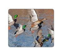 KYSANOL Mallards Duck Hunting Mallard Ducks, Mouse Pad, Non-Slip Rubber Base Mouse Pad,Waterproof Mouse Mat
