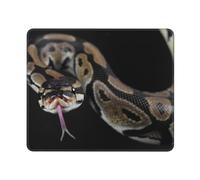 KYSANOL Python Snake, Mouse Pad, Non-Slip Rubber Base Mouse Pad,Waterproof Mouse Mat