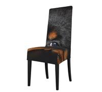 KYSANOL Rottweiler Puppy Pets Small Rottweiler Dogs,Chair Covers Seat Protector Stretch Dining Chair Slipcover Seat Cover for Chairs