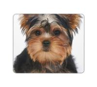 KYSANOL Yorkshire Terrier Lies On White, Mouse Pad, Non-Slip Rubber Base Mouse Pad,Waterproof Mouse Mat