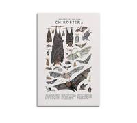 KYTIN Vintage Natural Organism Poster CREATURES OF THE ORDER LEPIDOPTERA Butterflies Bat-like Decorative Painting Canvas 12x18inch(30x45cm)