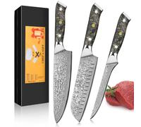 kyushublade Knife Set, Damascus Kitchen Knife Sets Made of 67-Layer of VG10 Steel, Full Tang Kitchen Knives Set with Ergonomic Black and Gold Resin Hanlde, for Home Restarent, Gift Box, 3-Pieces
