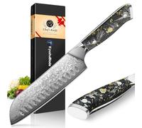 kyushublade Santoku Knife, 7 inch Damascus Kitchen Knife, Professional Kitchen Knives Made of 67 Layers Vg10 Steel Chef's Knives with Resin Handle for Home, Restaurant