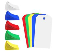 Kznifmk 500 Pieces 4 3/4Inch X 2 3/8Inch Plastic Shipping Tags Colorful Blank Labeling Tags Waterproof Hang Tags Easy to Use