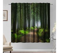 Kzzfqxb 107x160cm Rod Pocket Curtains 2 Panels, Country Forest Scenery Rural Road Through Dark Green Tall Trees in Foggy Morning Window Drapes, Fresh Nature Decor for Living Room Bedroom