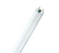 Osram 999029585046 18 Watt Natura T8 Fluorescent Lamps Sockets