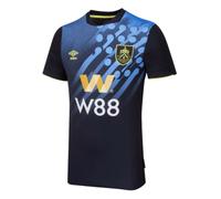 (L) 2023-2024 Burnley Third Shirt
