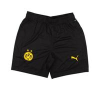 (L) 2024-2025 Borussia Dortmund Training Shorts (Black)