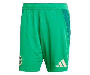 (L) 2024-2025 Saudi Arabia Home Shorts (Green)