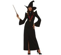 (L (42-44)) Women's magic teacher costume