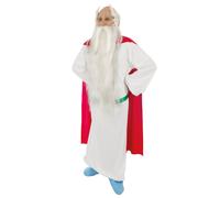 (L) Adult Panoramix Druid Costume - Asterix and Obelix