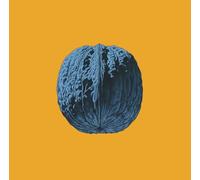 Brunori Sas L’albero delle noci (CD)