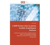 L’AMP-Kinase chez la plante modèle Arabidopsis thaliana: Etude de la structure des complexes kinases SnRK1 chez Arabidopsis thaliana expression et ... sous-unités de type beta (Omn.Univ.Europ.)