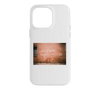 L’ARTE È MORTA VENEZIA È LA SUA TOMBA - VENICE ITALY VENEDIG Case for iPhone 14 Pro Max