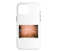 L’ARTE È MORTA VENEZIA È LA SUA TOMBA - VENICE ITALY VENEDIG Case for iPhone 16 Pro Max