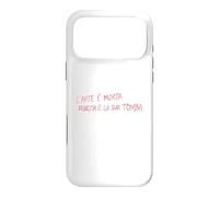 L’ARTE È MORTA VENEZIA È LA SUA TOMBA - VENICE ITALY VENEDIG Case for iPhone 17 Pro Max
