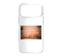 L’ARTE È MORTA VENEZIA È LA SUA TOMBA - VENICE ITALY VENEDIG Case for iPhone 17 Pro Max