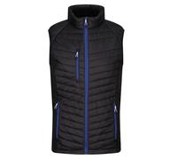 (L, Black/New Royal) Regatta Mens Navigate Hybrid Body Warmer
