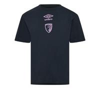 (L, Blue/Mallard Green) Umbro Mens AFC Bournemouth T-Shirt