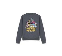 (L, Charcoal) Disney Unisex Adult Mickey Mouse Friends Sweatshirt