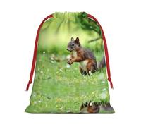L Christmas Drawstring Bag â€“ Reusable Cute squirrel Print Xmas Party Sacks, Treats & Favors for Holiday, Weddings