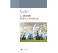 L’enigma della coscienza: Repertori, modelli e istanze formative per l’assessment literacy degli insegnanti (Mondadori Università / Saggi)