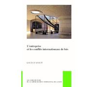 L entreprise et les Conflits Internationaux de Lois: Les livres de poche de l'Académie de droit international de La Haye (Pocket Books of the Hague ... L'académie De Droit International De La Haye)