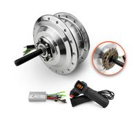 L-faster Single Speed 24V36V 250W Bike Hub Motor Conversion Kit Accelerator Handle for E-Bicycle Rear Drive Wheel (Silver, 24V 250W)