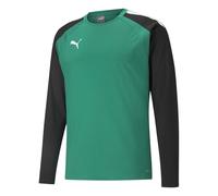 (L, Green/Black) Puma Mens TeamLIGA Long-Sleeved T-Shirt