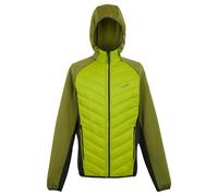 (L, Grenoble Green/Nephrite Green) Regatta Mens Andreson VIII Hybrid Jacket