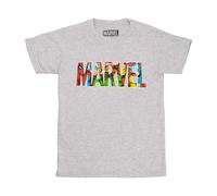 (L, Grey/Red/Green) Marvel Womens/Ladies Characters T-Shirt
