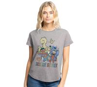 (L, Heather Grey) Sesame Street Womens/Ladies Group T-Shirt