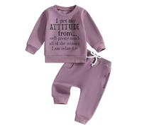 L&ieserram Toddler Baby Girls 2Pcs Outfits Letter Print Long Sleeve Tops Elastic Pants Spring Fall Clothes Set (Purple-g, 6-12 Months)