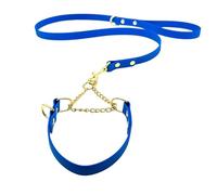 L&J Pets UK Martingale Dog Collar & Lead Set | Waterproof & Odour Proof | BioThane Webbing | Solid Brass Chain | Made in UK (Blue, XS)