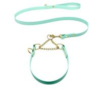 L&J Pets UK Martingale Dog Collar & Lead Set | Waterproof & Odour Proof | BioThane Webbing | Solid Brass Chain | Made in UK (Mint, S)