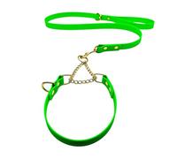 L&J Pets UK Martingale Dog Collar & Lead Set | Waterproof & Odour Proof | BioThane Webbing | Solid Brass Chain | Made in UK (Green, S)